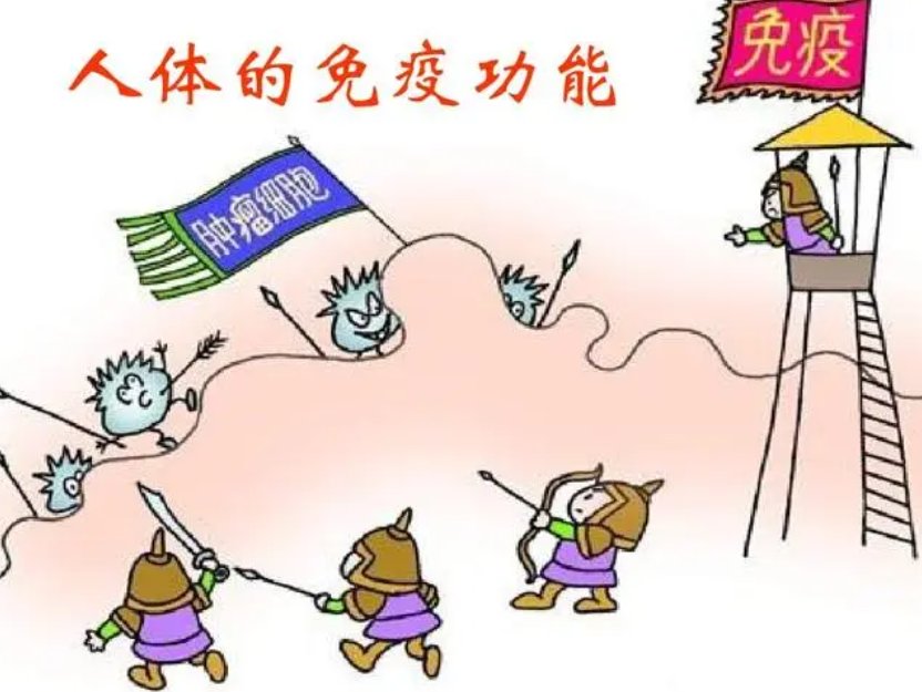 诱受是什么意思