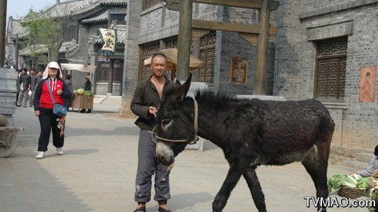 杨锅三的愤怒的演职员表