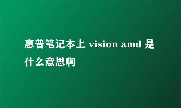 惠普笔记本上 vision amd 是什么意思啊