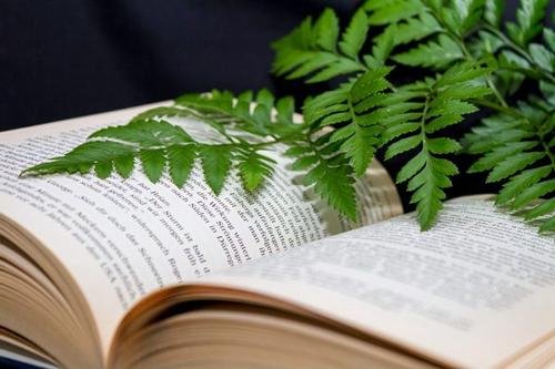 为何说没人年年恨翟天临，但是年年有人恨翟天临？