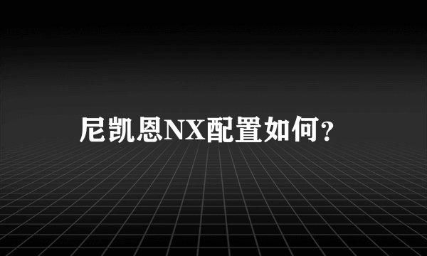 尼凯恩NX配置如何？