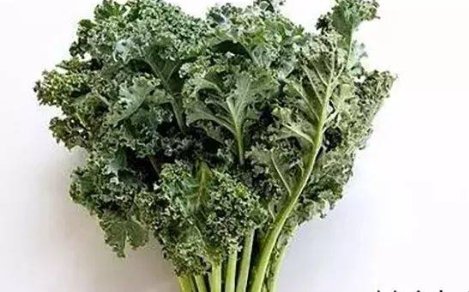 kale英语什么意思