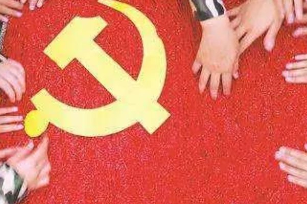 党的领导主要是什么的领导