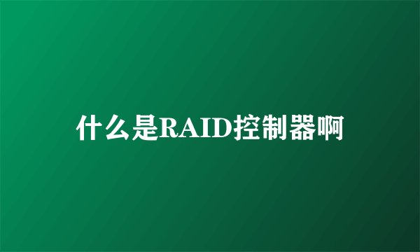 什么是RAID控制器啊