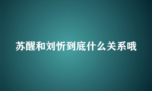 苏醒和刘忻到底什么关系哦
