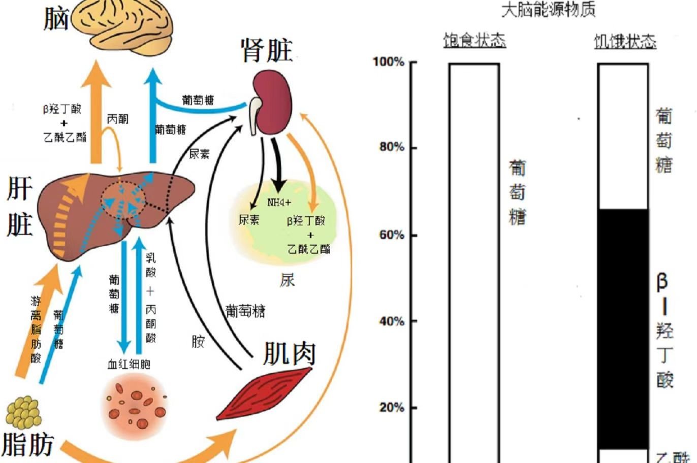 感受到体内那根东西的变化