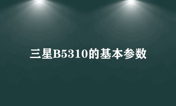 三星B5310的基本参数