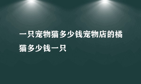 一只宠物猫多少钱宠物店的橘猫多少钱一只