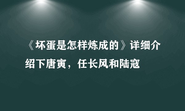 《坏蛋是怎样炼成的》详细介绍下唐寅，任长风和陆寇