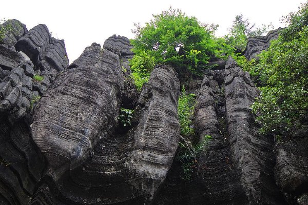 8月去恩施旅游合适吗