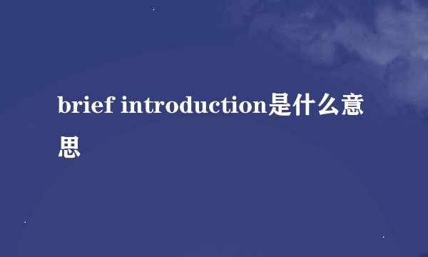 brief introduction是什么意思