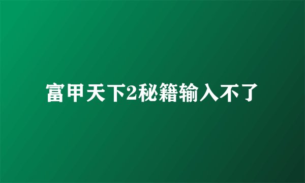 富甲天下2秘籍输入不了