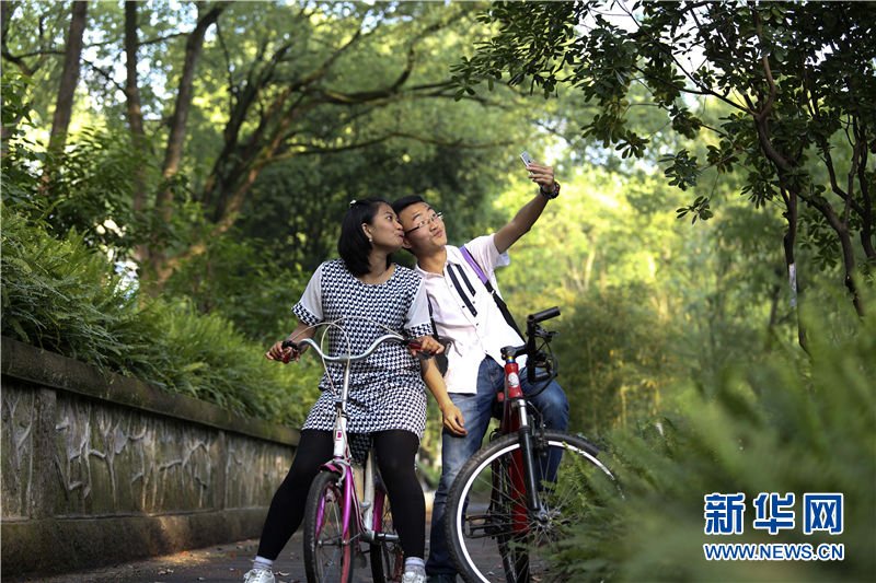 杨佳妮的网络作品目录