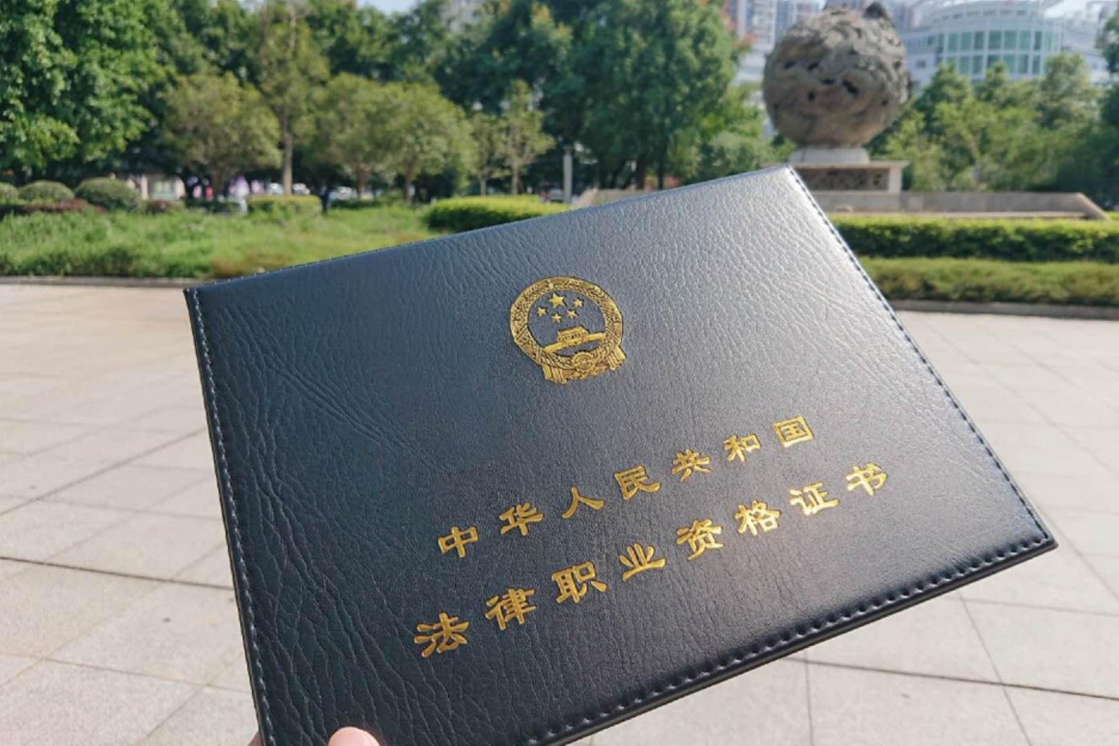 司法考试怎么查分