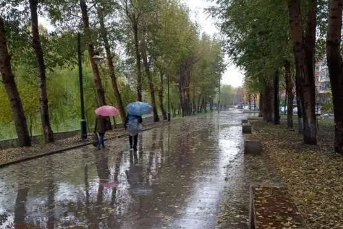 秋天的雨从哪三个方面来描写秋天