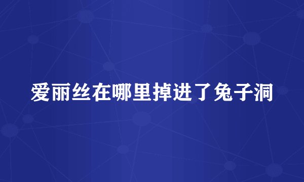 爱丽丝在哪里掉进了兔子洞
