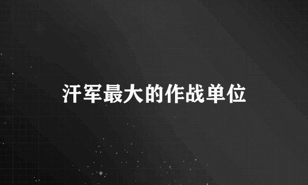 汗军最大的作战单位