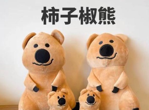 柿子椒熊什么意思