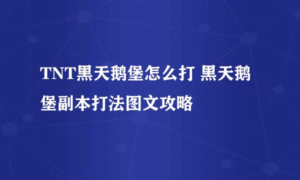 TNT黑天鹅堡怎么打 黑天鹅堡副本打法图文攻略