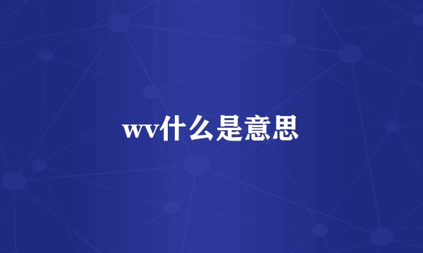 wv什么是意思