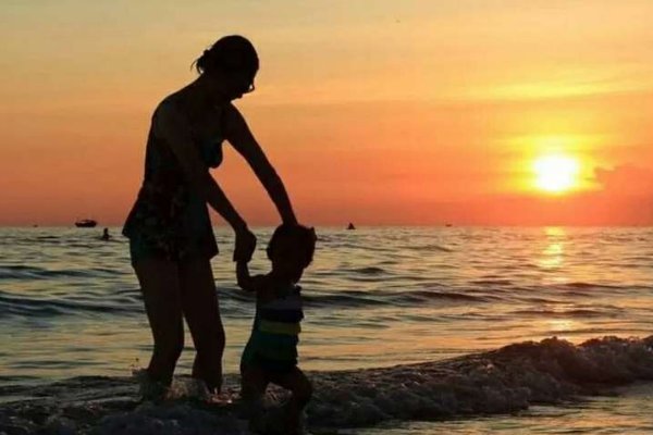 母爱的升华第二部分主要内容