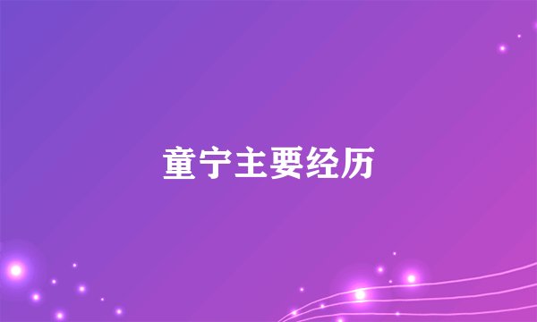 童宁主要经历