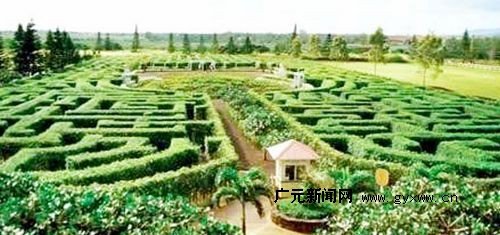 世界八大迷宫的凤梨花园迷宫