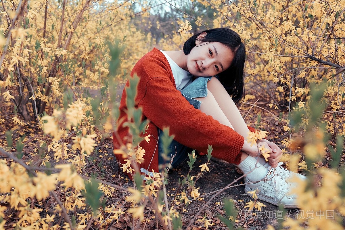 丛中是什么意思？