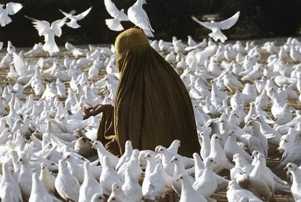 西方最大但的人文艺术摄影