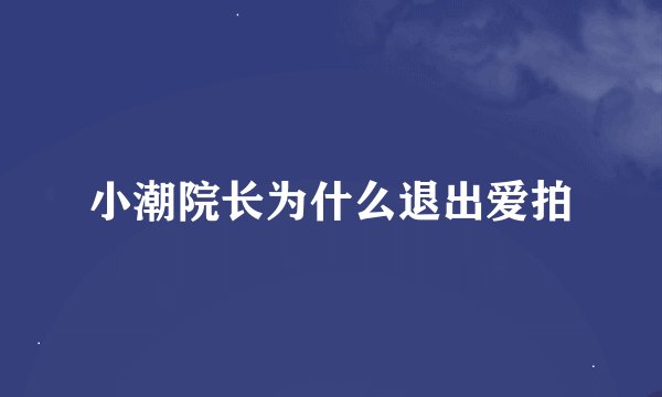 小潮院长为什么退出爱拍