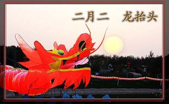 2020年二月二是几号？