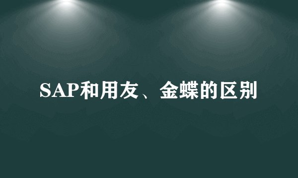 SAP和用友、金蝶的区别
