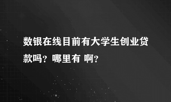 数银在线目前有大学生创业贷款吗？哪里有 啊？