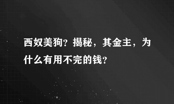 西奴美狗？揭秘，其金主，为什么有用不完的钱？