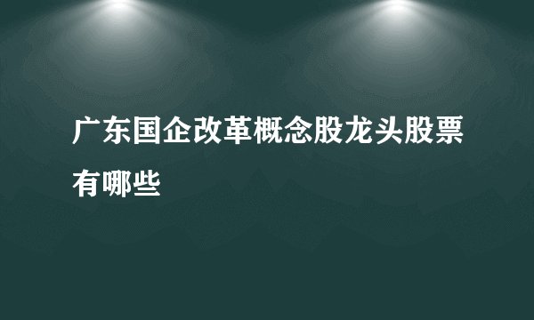 广东国企改革概念股龙头股票有哪些