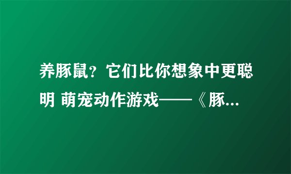 养豚鼠？它们比你想象中更聪明 萌宠动作游戏——《豚鼠特工队》