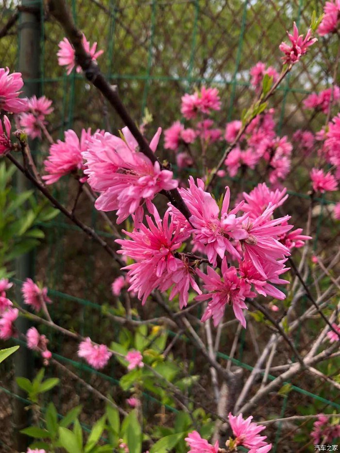 春暖花开、奔你而来、和睿骋CC有个约会！