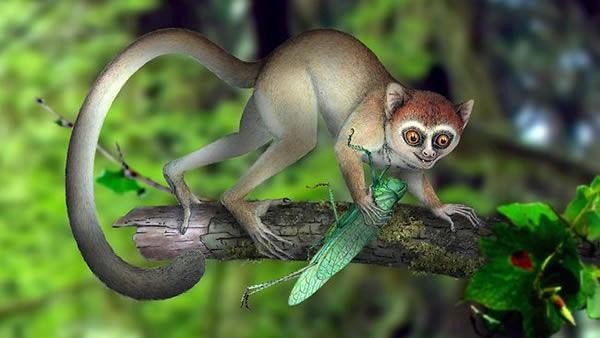 一三全四中本期代表什么生肖