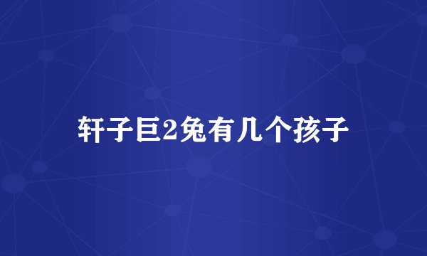 轩子巨2兔有几个孩子