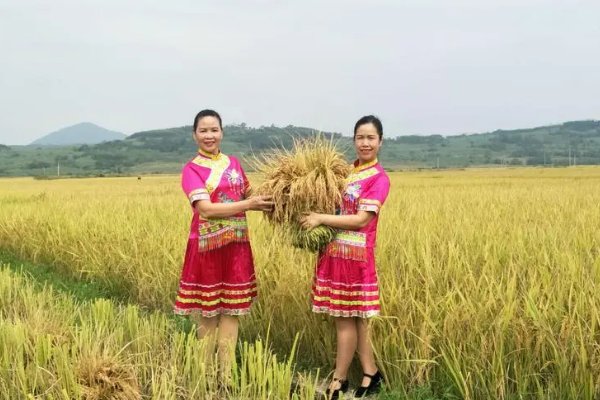 沉甸甸的意思是什么？