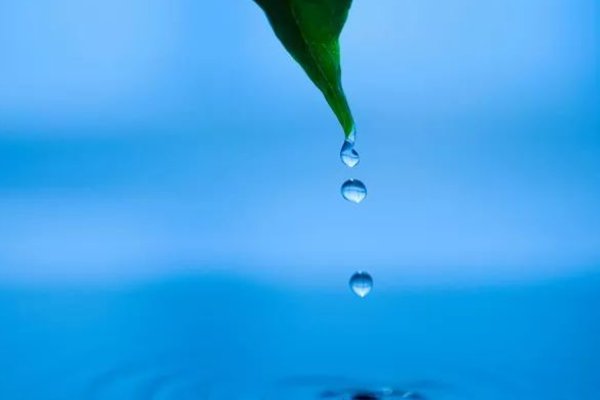 活水源记原文及翻译