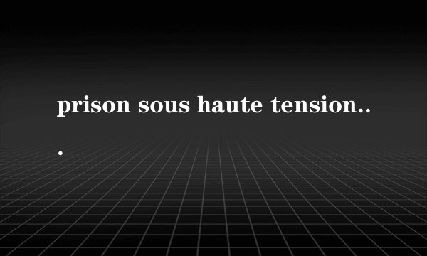 prison sous haute tension的中文翻译是什么?