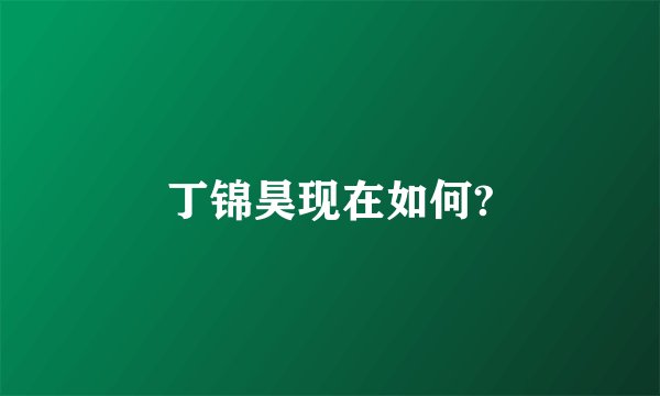 丁锦昊现在如何?