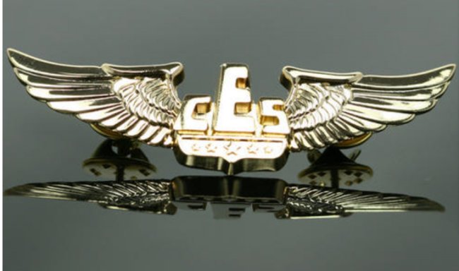 wings是什么意思?