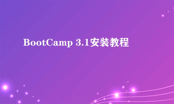 BootCamp 3.1安装教程