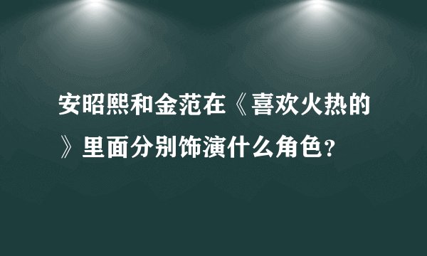 安昭熙和金范在《喜欢火热的》里面分别饰演什么角色？