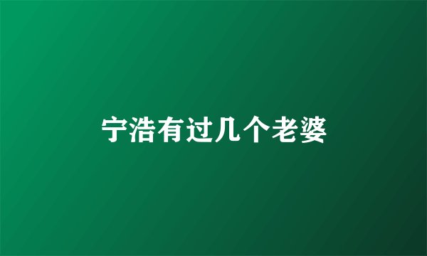 宁浩有过几个老婆
