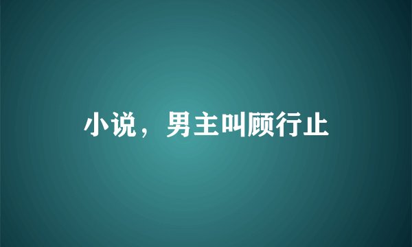 小说，男主叫顾行止