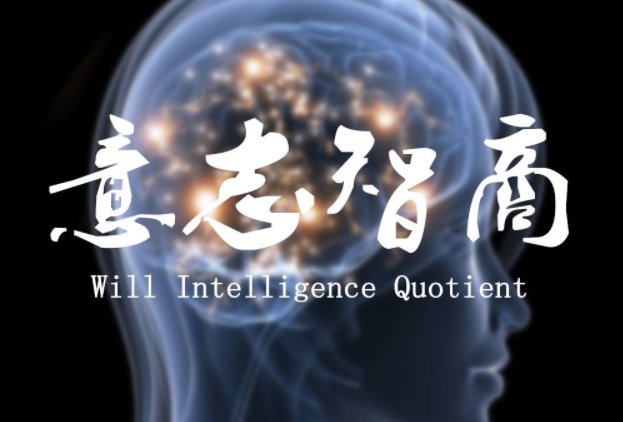 WQ是什么意思？