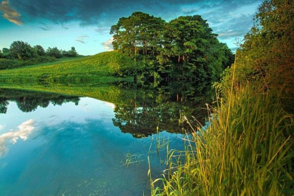 大自然中有哪些趣事呢请介绍一下